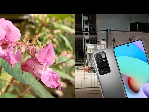 Redmi 10 (Prime) | Camera Test Quality Day &amp; Night 1080p30