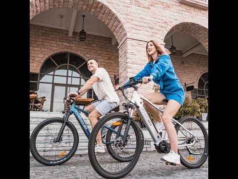 GOGO BEST new arrival city electric bike! GOGOBEST GM26 and GM27.