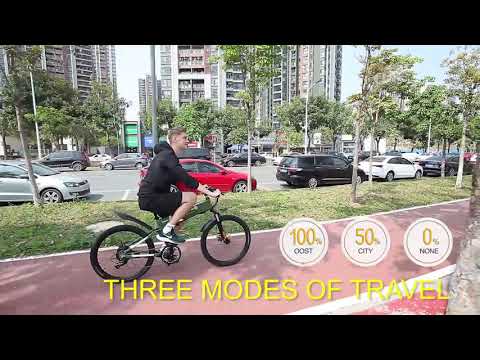 BEZIOR X500 Pro Folding Electric Bike