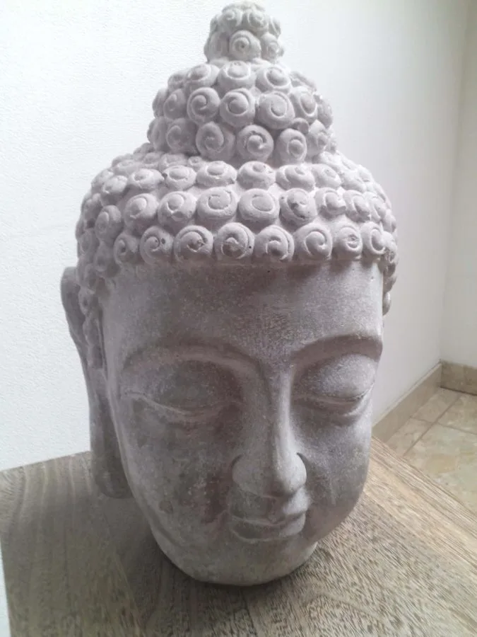 enjoyEC N8830 Image Câmera traseira 1