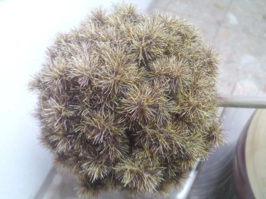 enjoyEC N8830 Image Câmera traseira 2