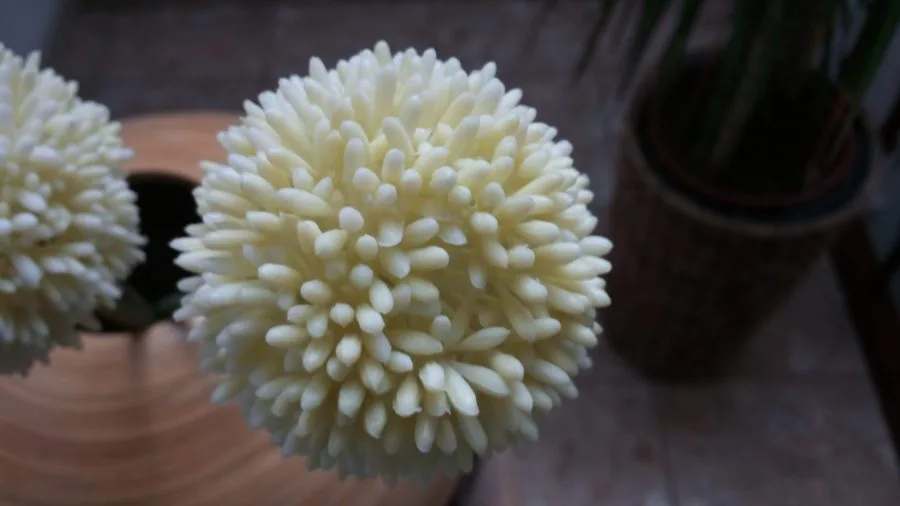 Teste justo de UMI / revisão Bild2