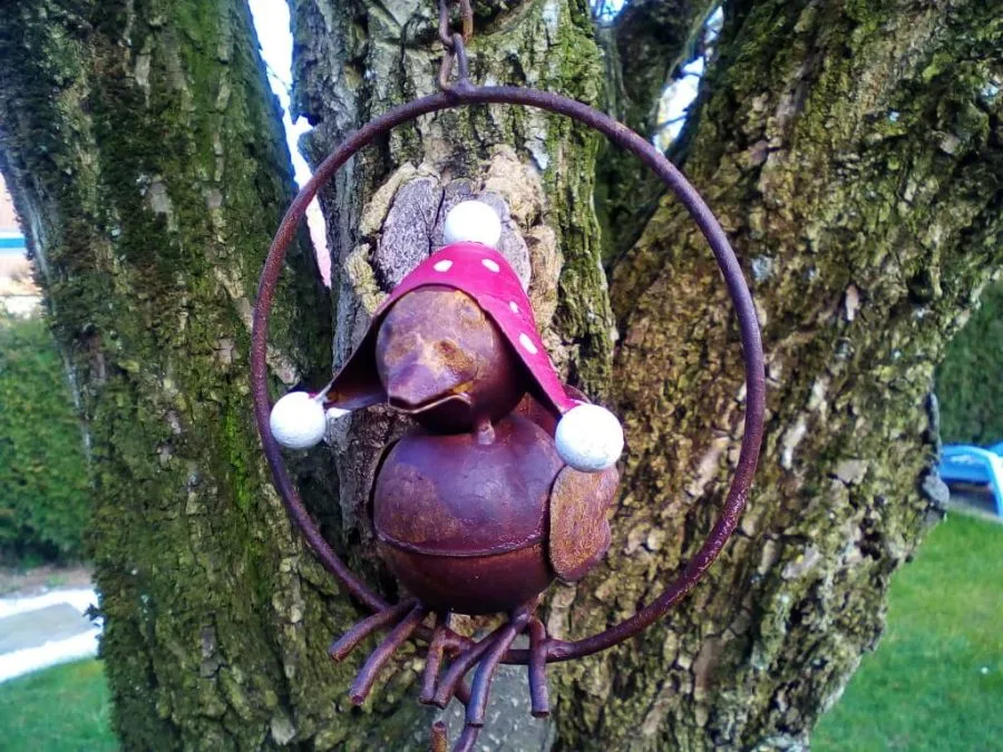 Figura de captura de imagen