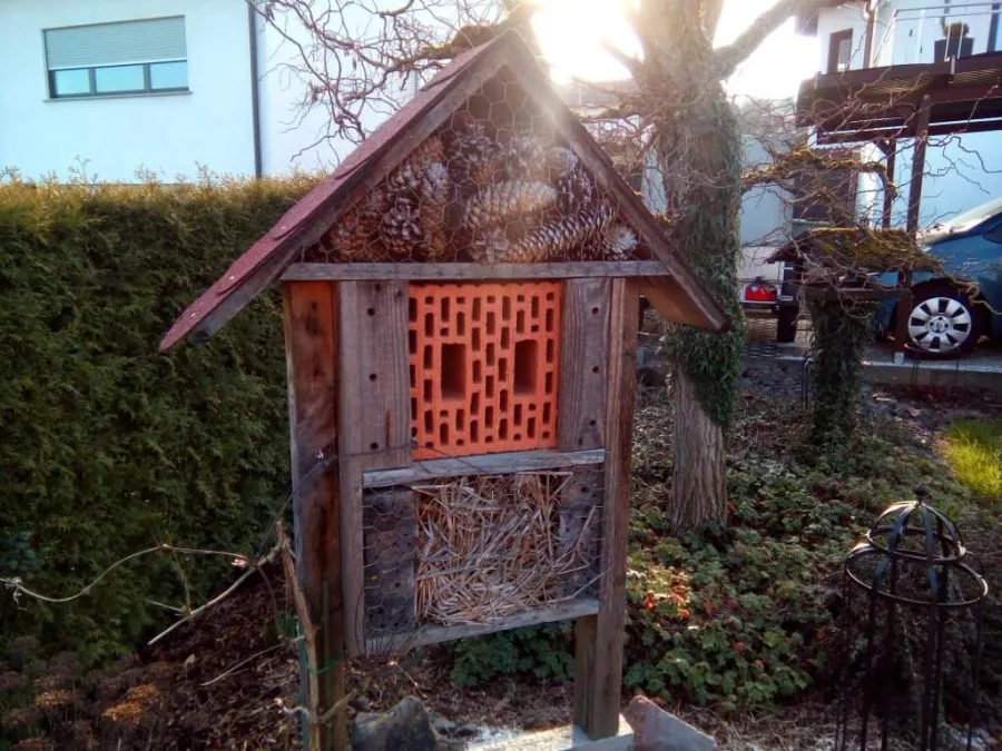 Kameraoptagelse Cubot Z100 Exterior House