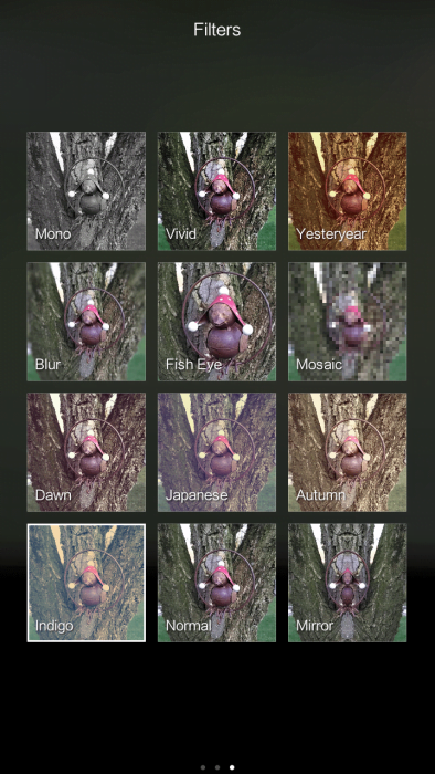 MIUI 7 Camera App Filter