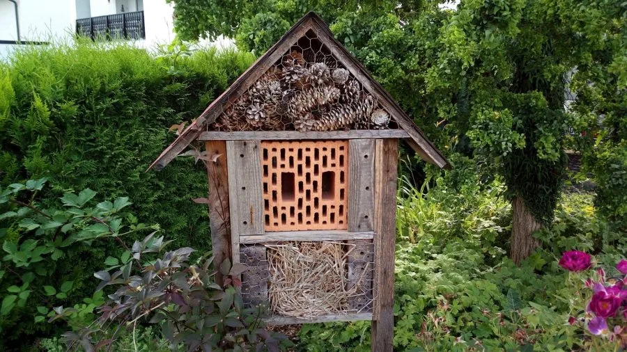 Vernee Thor Test Εικόνες Κάμερα (3)