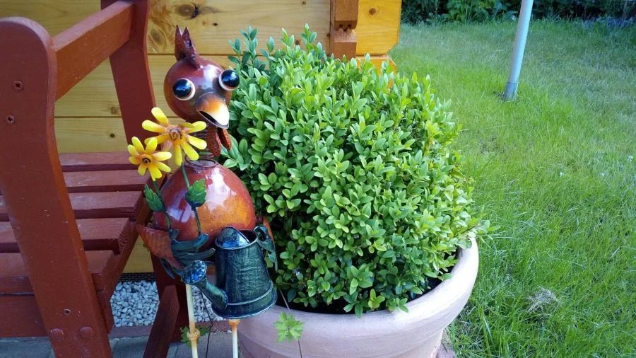 Vernee Thor Test Εικόνες Κάμερα (6)