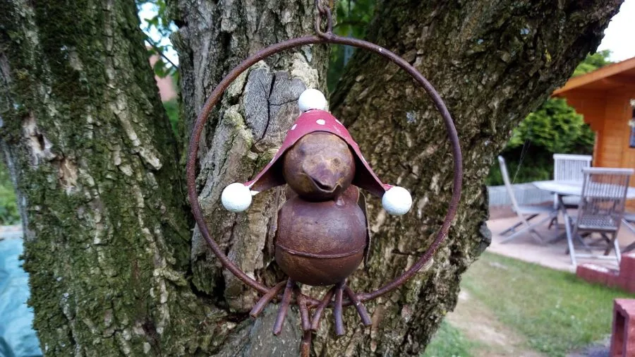 Vernee Thor Test Εικόνες Κάμερα (7)