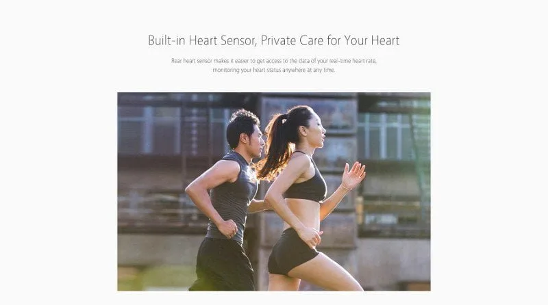 Monitor de ritmo cardíaco