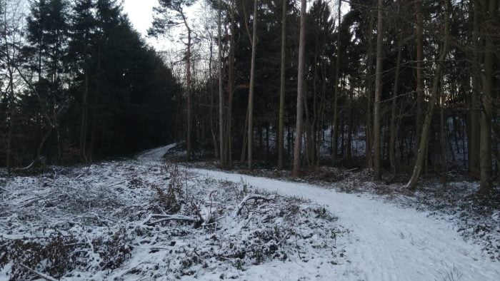 Testaufnahme Wald (2)