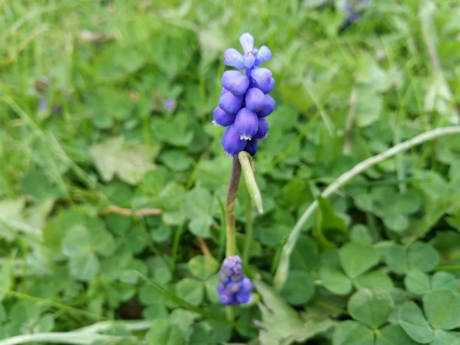 Testaufnahme Bokeh (3)