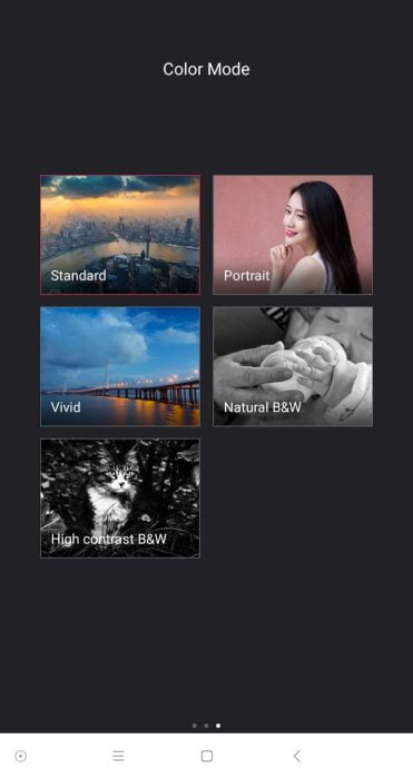Yi Mirrorless App Portræt
