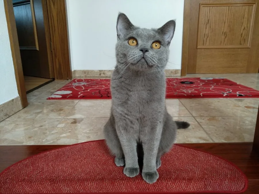 Δοκιμή εγγραφής (2)