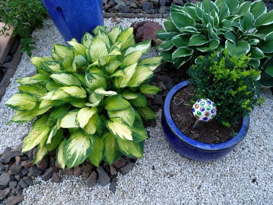 Δοκιμή εγγραφής (3)