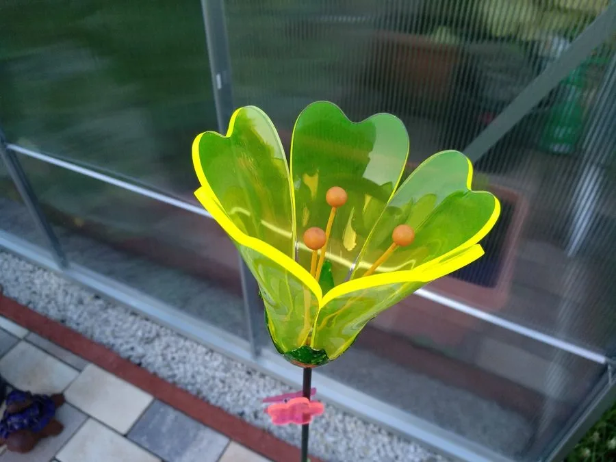 Δοκιμή εγγραφής (6)