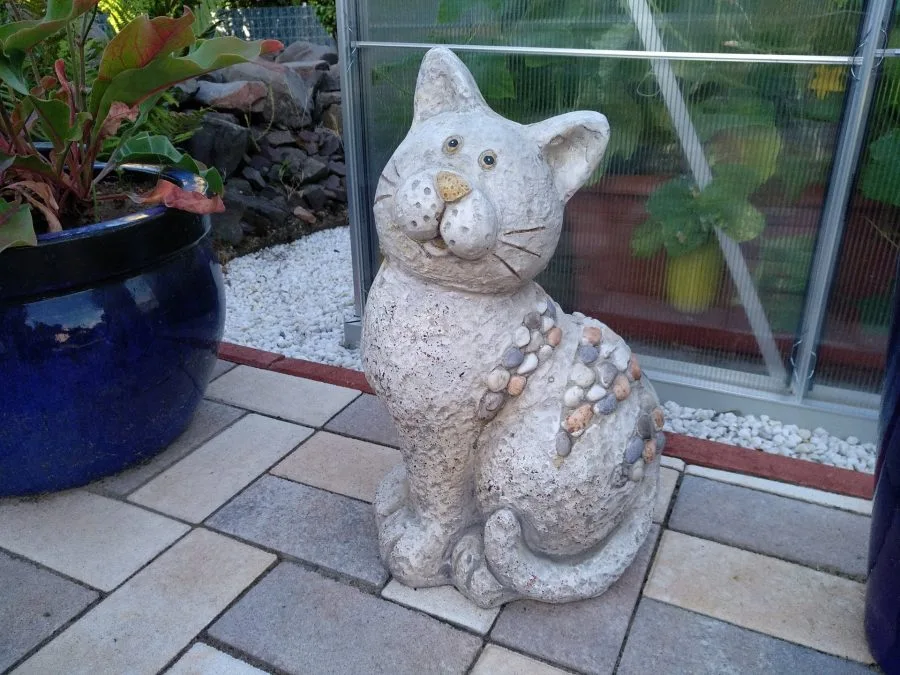 Δοκιμή εγγραφής (7)