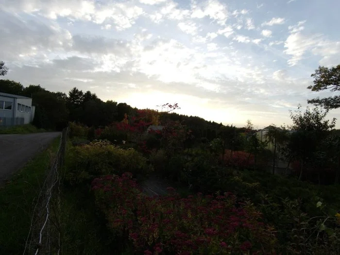Yi Lite Photo Sample Distortion Correction sur