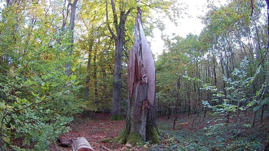 EKEN H9S Photo Test Shot (2)