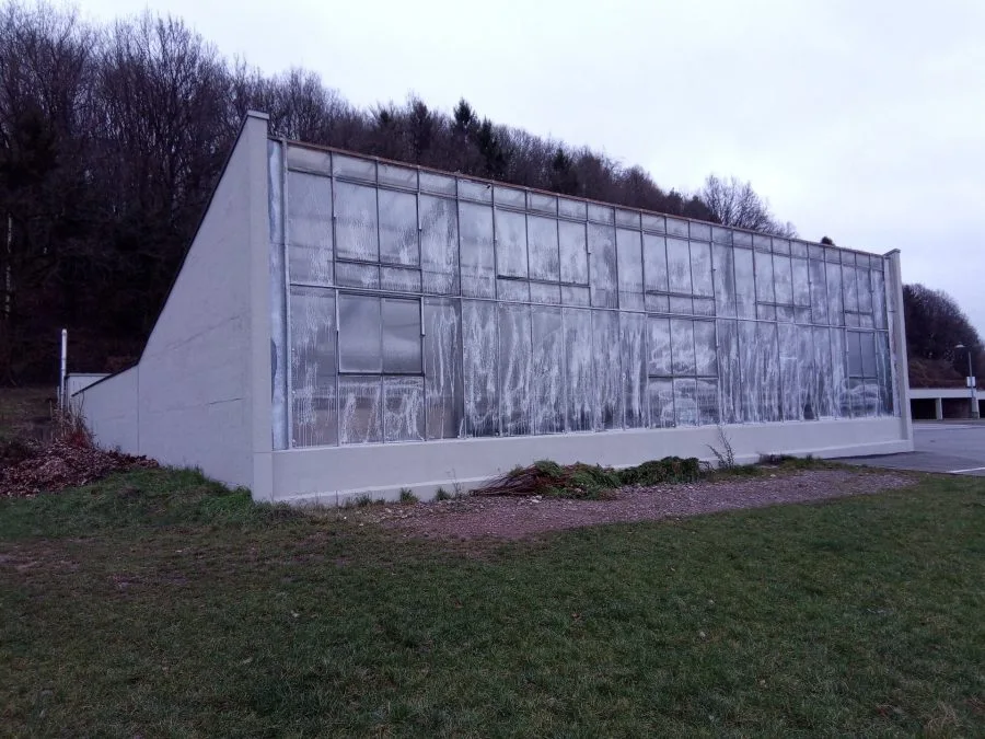 Vernee Mix 2 Camera Test Shot (5)