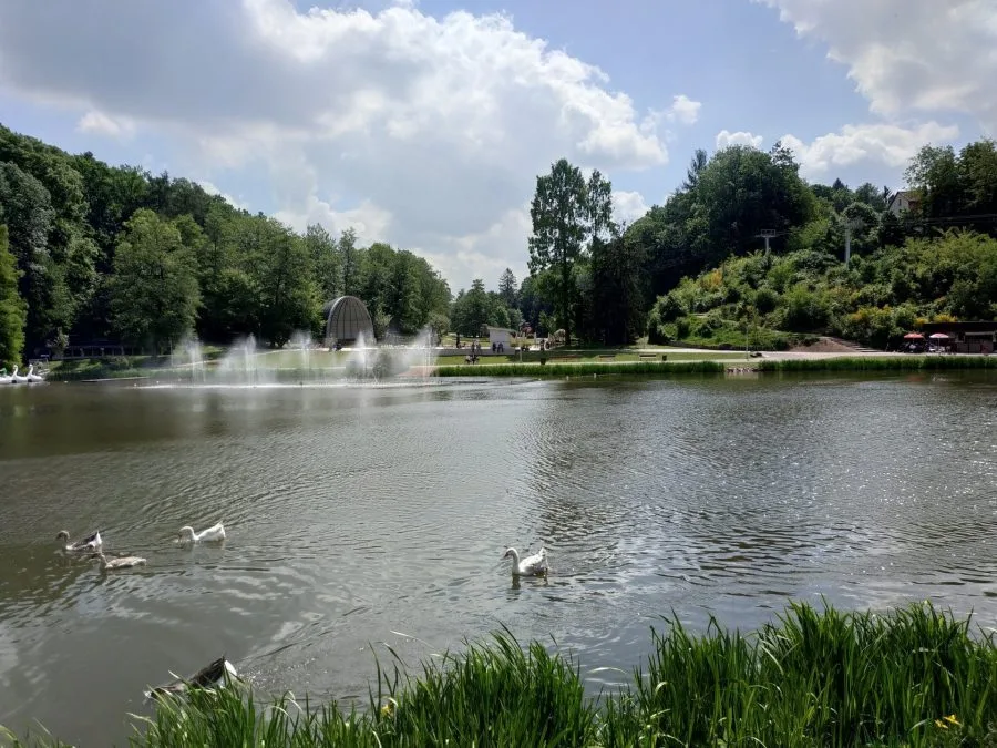 Тестовая запись (3)