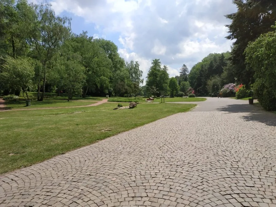 Тестовая запись (4)