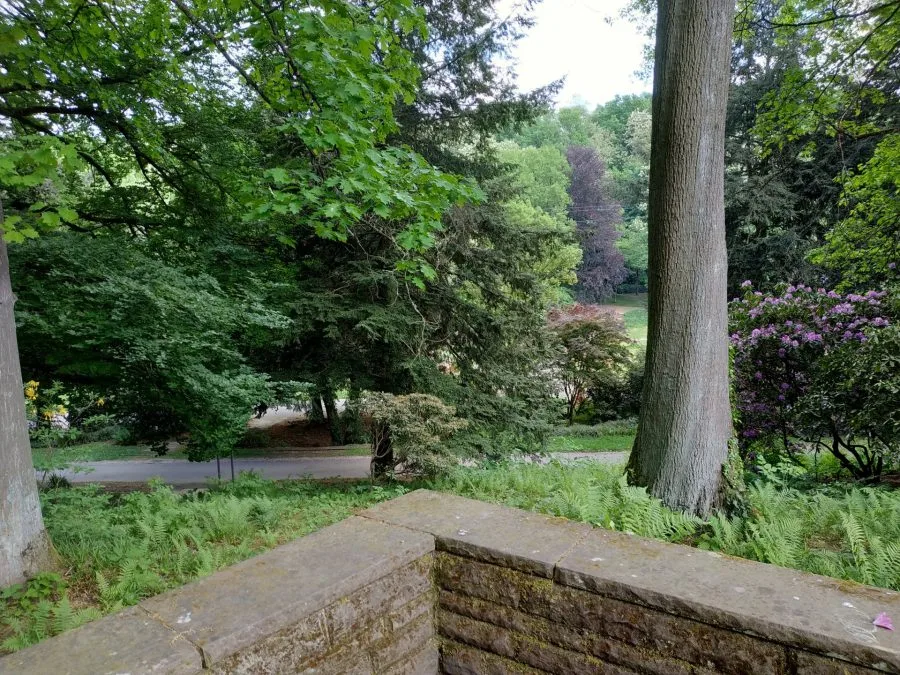 Тестовая запись (5)