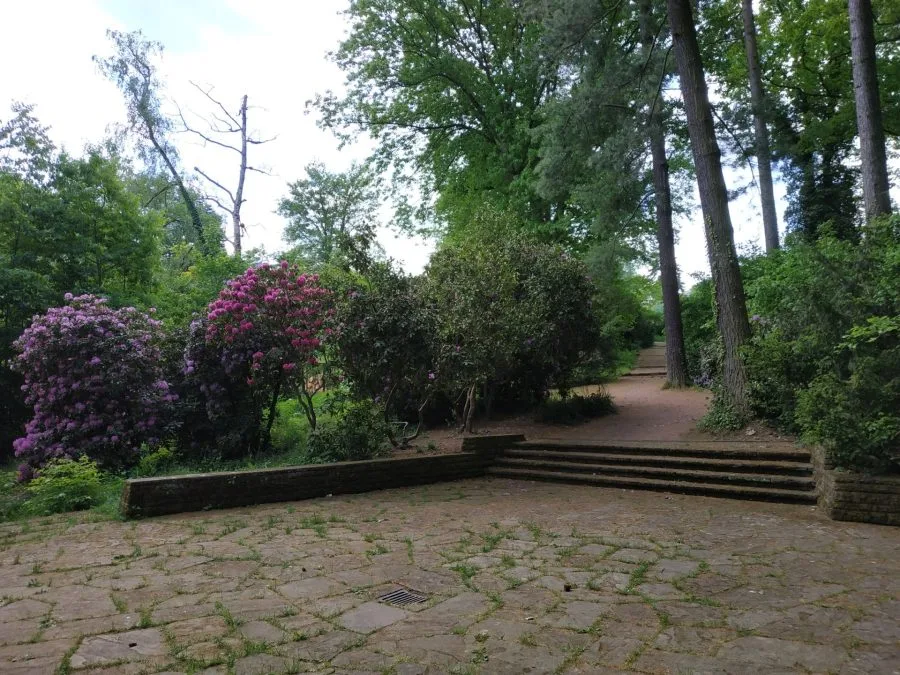 Тестовая запись (6)