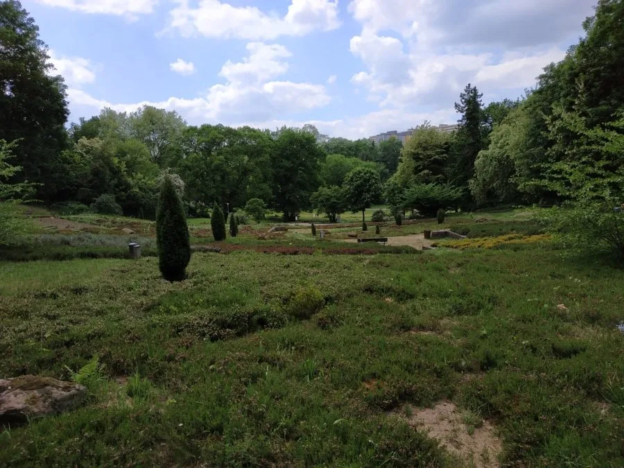 Тестовая запись (9)