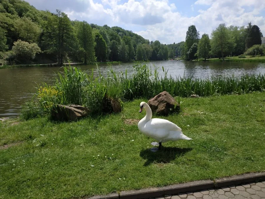 Масштаб тестового снимка (1)