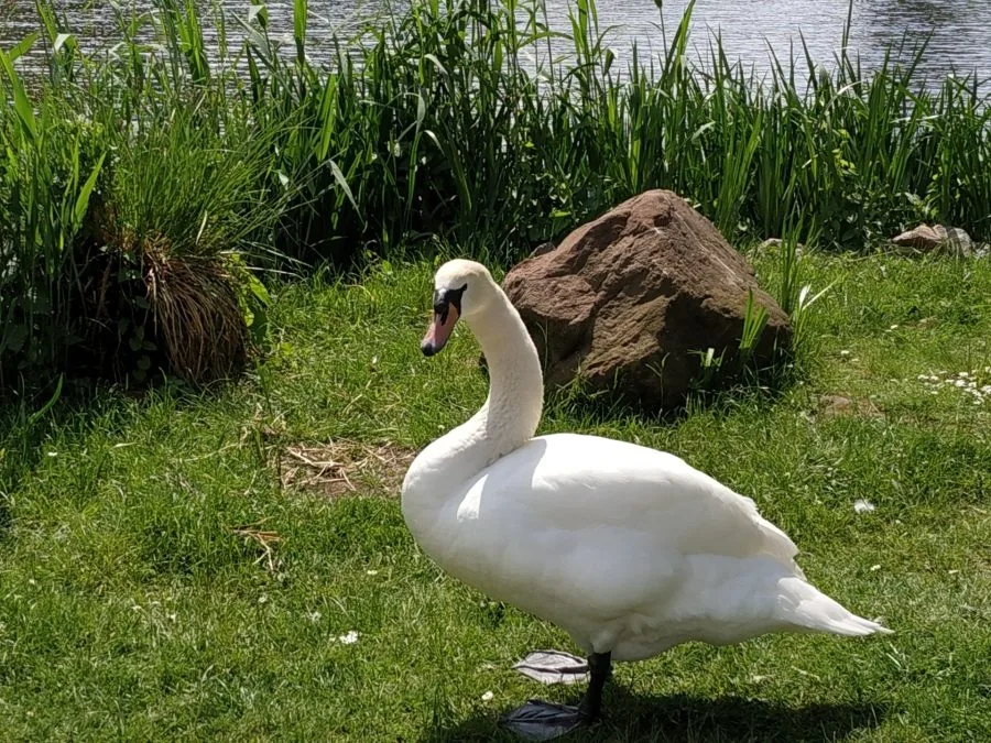 Масштаб тестового снимка (2)