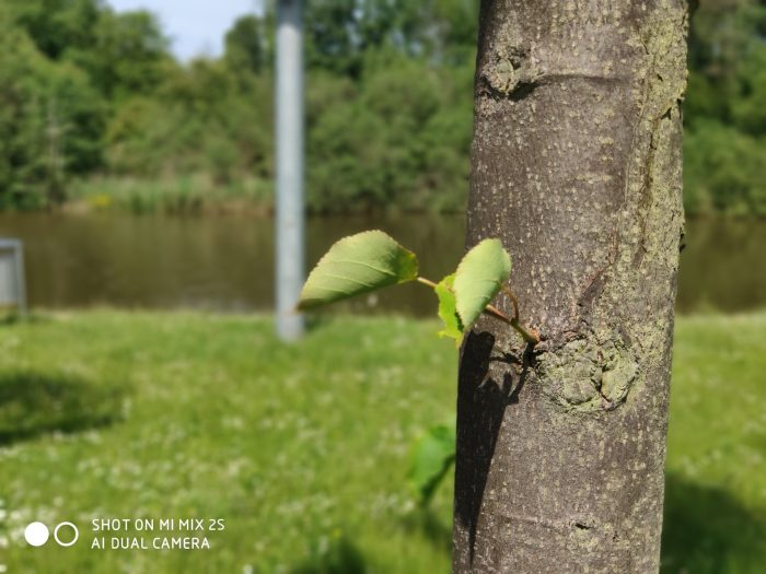 Enregistrement avec effet bokeh (3)