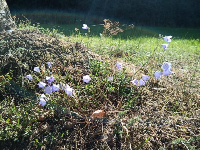 Enregistrement d'essai (2)