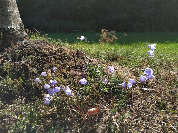 הקלטת בדיקה (4)