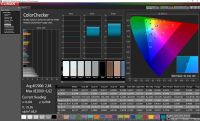 Honor View 20 sRGB colorcheck