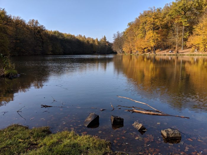 Zkušební verze služby Google Pixel 3 (1)