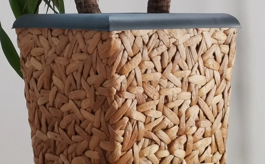 Zvětšená část obrázku 48 MP