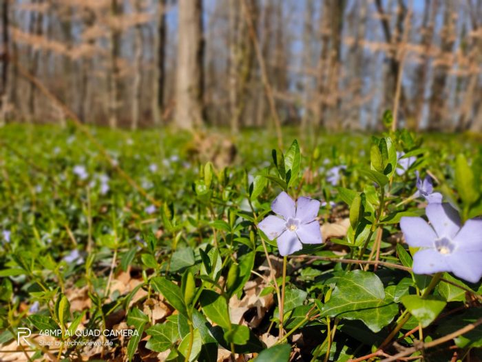 Test de caméra avec le Realme 5 Pro (4)