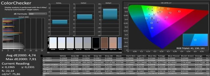 Calman color measurement DCI-P3 Auto