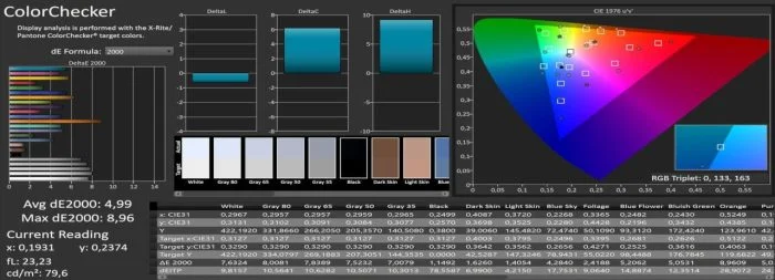 Calman color measurement sRGB Auto