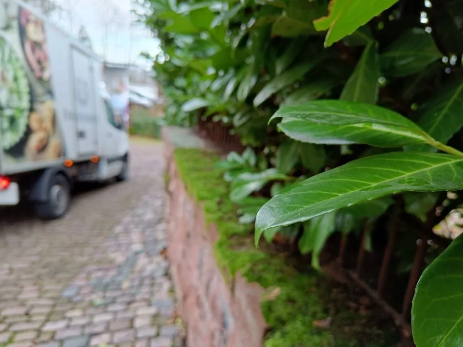 testovací den hlavního fotoaparátu realme 9 Pro+ (5)