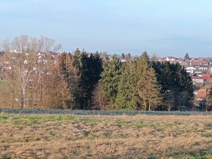 zoom fotoaparátu realme 9 Pro+ (3)