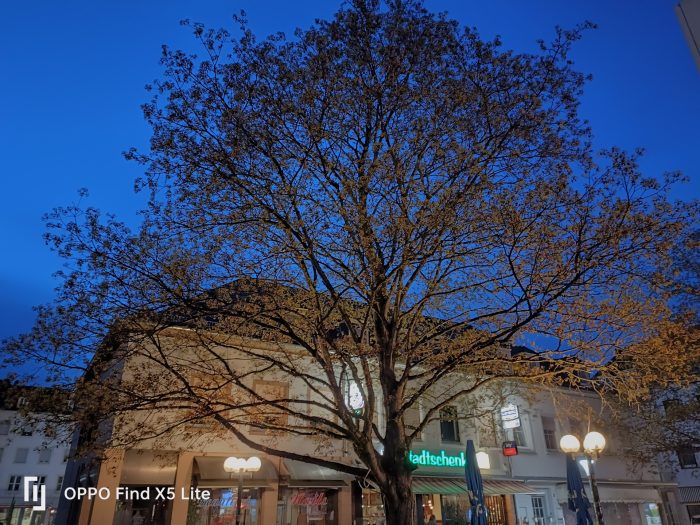 OPPO Find X5 Lite main camera test shot with night mode