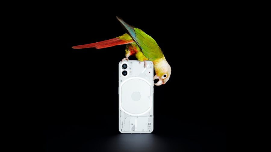 Nothing phone (1) Rückseite mit Vogel