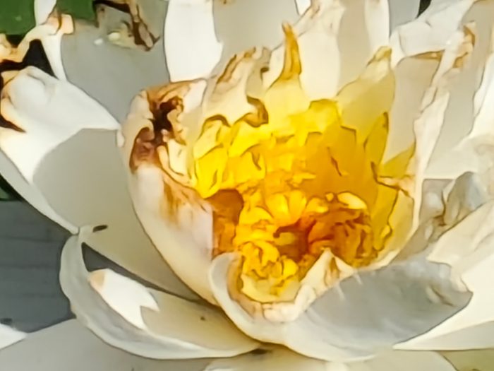 Zoom de cámara vivo X80 Pro (6)