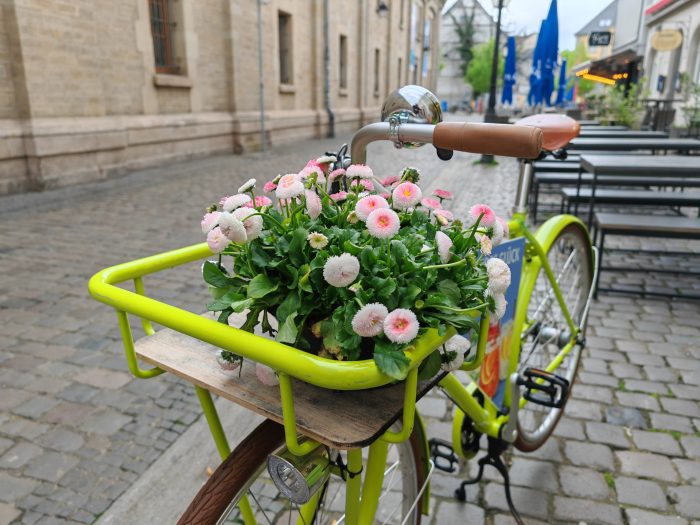 Test du HONOR Magic 5 Pro sur le vélo de jour de la caméra principale