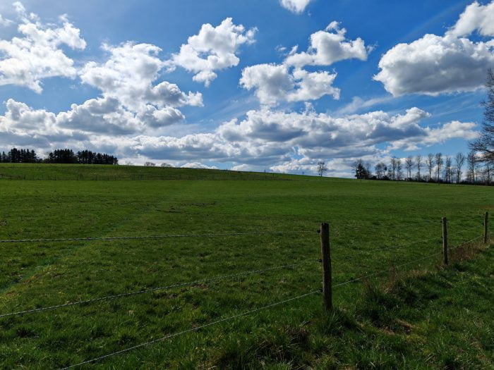 Foto de teste da câmera principal HONOR Magic 5 Pro Day Meadow