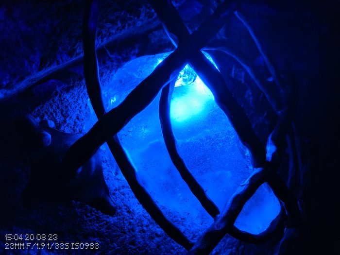Nada Teléfono (2) toma de prueba de la cámara principal en condiciones de poca luz (3)