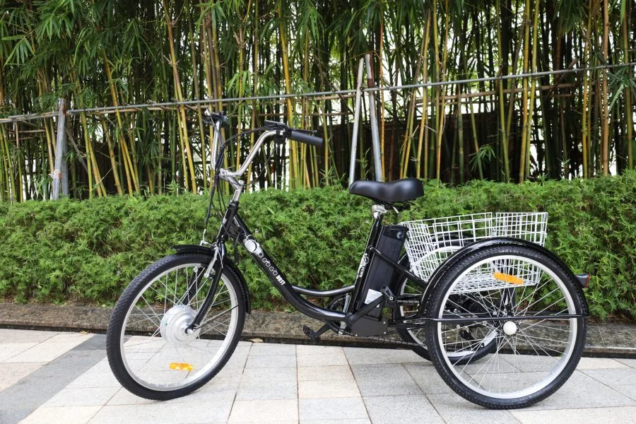 GOGOBEST GF100 E-Trike Dreirad von der Seite