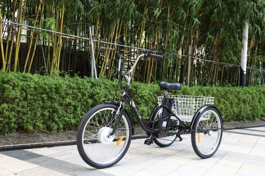 GOGOBEST GF100 E-Trike Dreirad seitlich