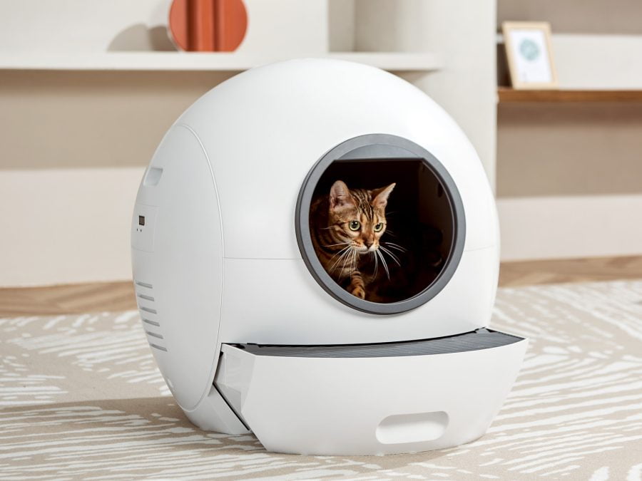 ELS PET litter box with cat from the front
